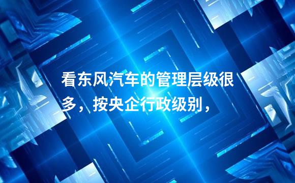 看东风汽车的管理层级很多，按央企行政级别，