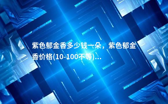 紫色郁金香多少钱一朵，紫色郁金香价格(10-100不等)-新年鲜花盆栽批发(花艺)