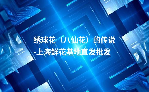 绣球花（八仙花）的传说-上海鲜花基地直发批发