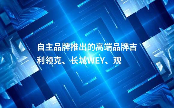 自主品牌推出的高端品牌吉利领克、长城WEY、观