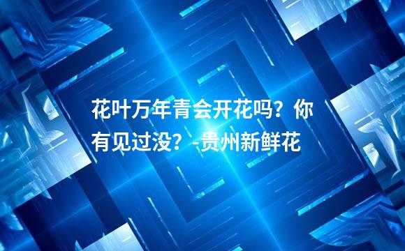 花叶万年青会开花吗？你有见过没？-贵州新鲜花