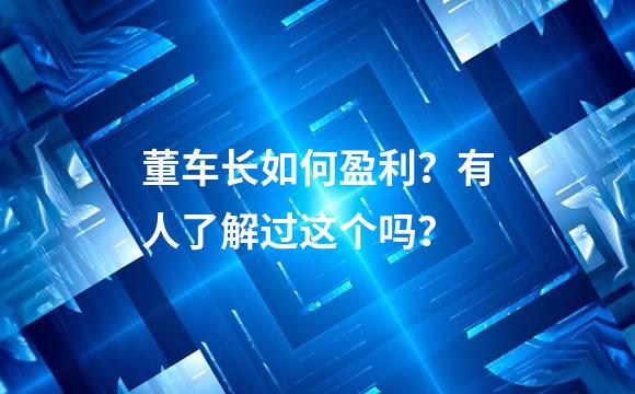 董车长如何盈利？有人了解过这个吗？