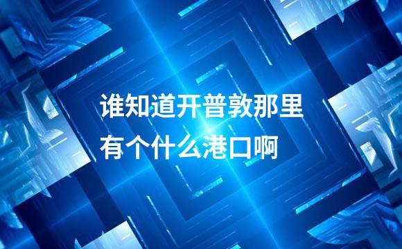 谁知道开普敦那里有个什么港口啊