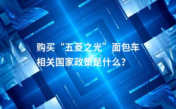 购买“五菱之光”面包车相关国家政策是什么？
