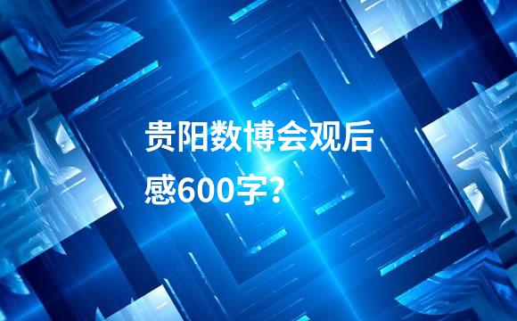 贵阳数博会观后感600字？