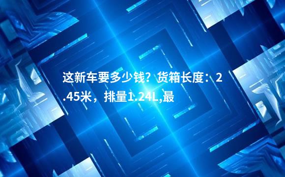 这新车要多少钱？货箱长度：2.45米，排量1.24L,最