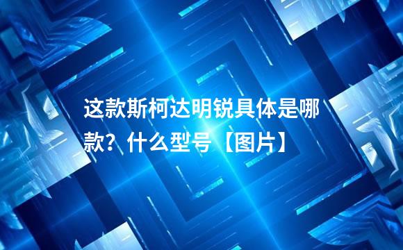 这款斯柯达明锐具体是哪款？什么型号【图片】