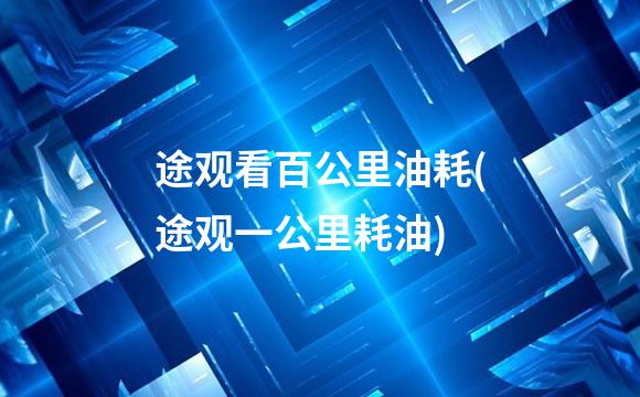 途观看百公里油耗(途观一公里耗油)