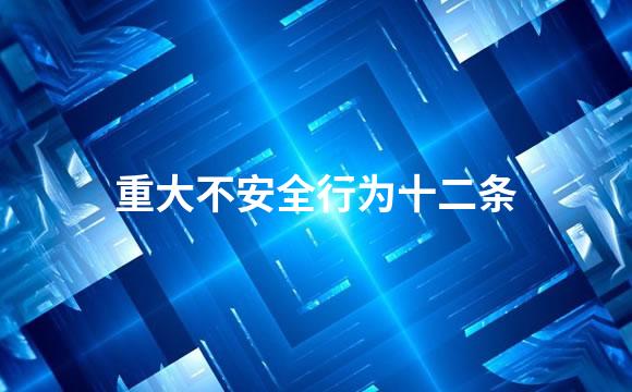 重大不安全行为十二条