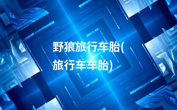 野狼旅行车胎(旅行车车胎)