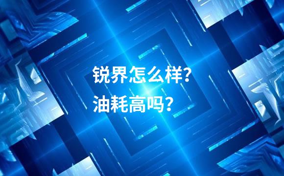锐界怎么样？油耗高吗？