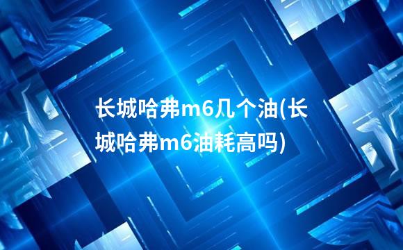 长城哈弗m6几个油(长城哈弗m6油耗高吗)