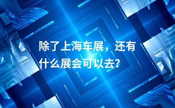 除了上海车展，还有什么展会可以去？