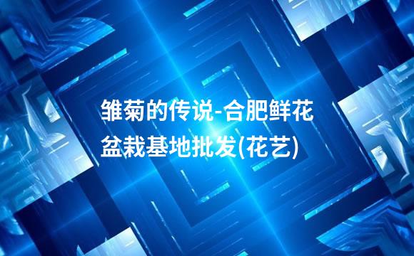 雏菊的传说-合肥鲜花盆栽基地批发(花艺)