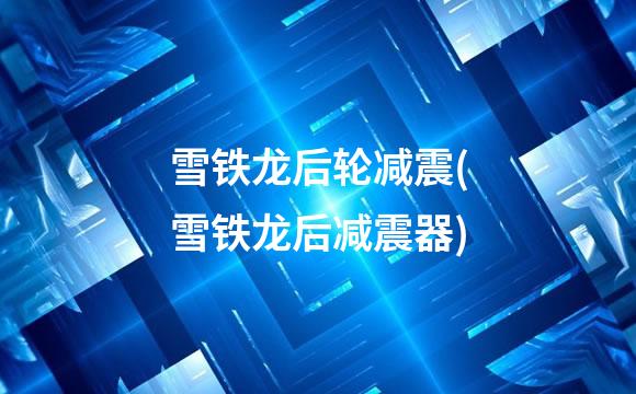 雪铁龙后轮减震(雪铁龙后减震器)