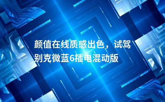 颜值在线质感出色，试驾别克微蓝6插电混动版